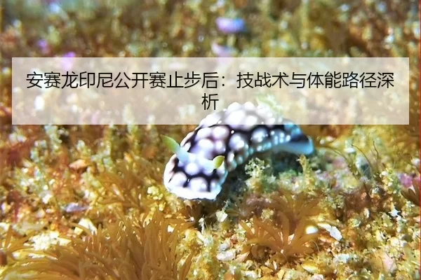 安赛龙印尼公开赛止步后：技战术与体能路径深析